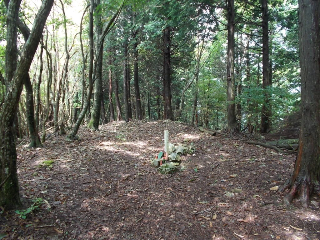 11：09　小金ヶ岳まで行こうかと思いましたが、空模様が不安なため、キャンプ場に戻ります。山頂の様子。