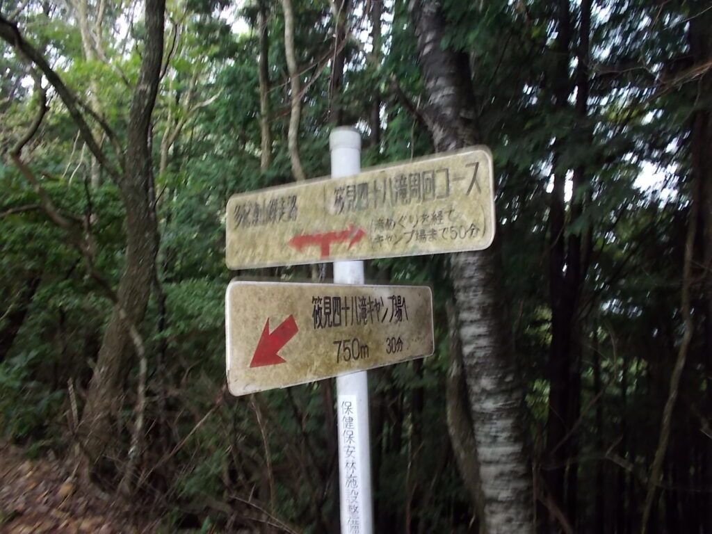 11：17　分岐に戻りました。
