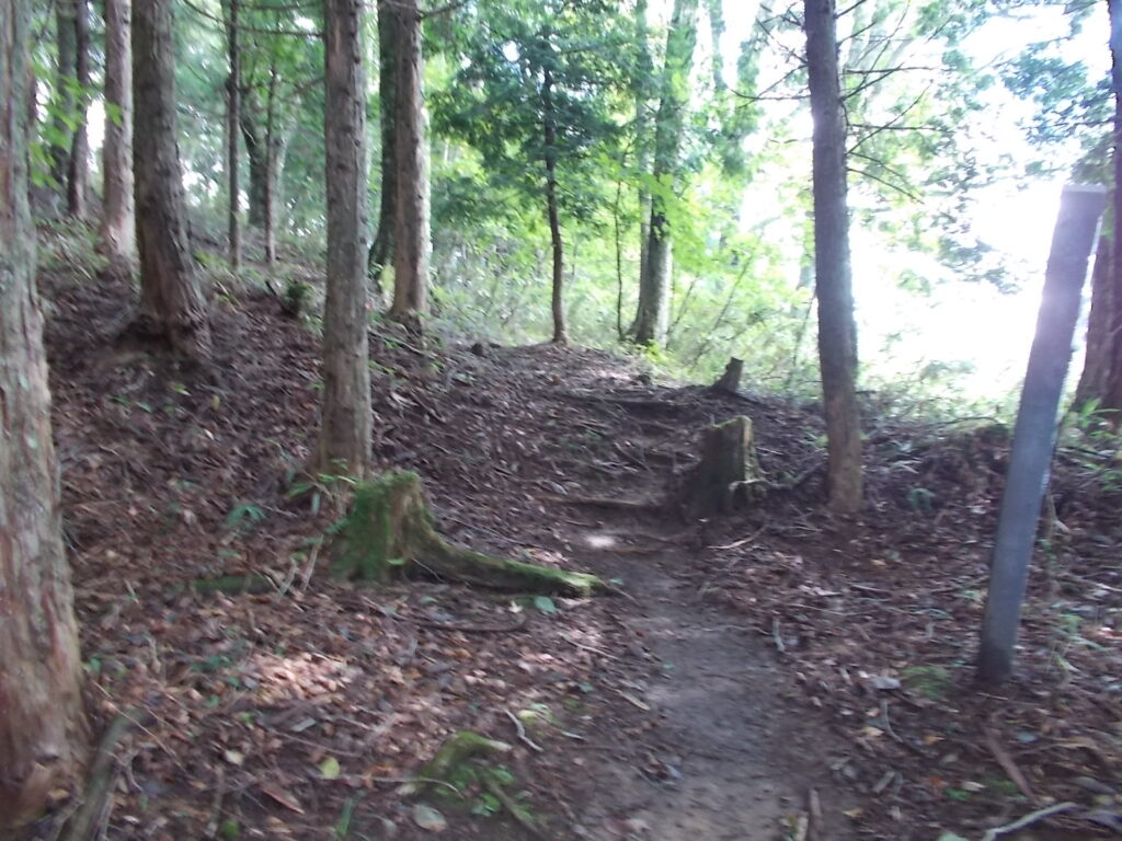 10：39　意外ときつめの上りでした。
