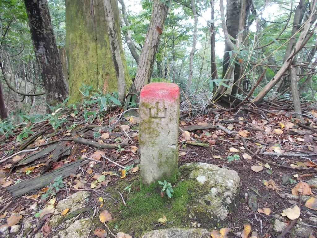 10：42　途中のピーク