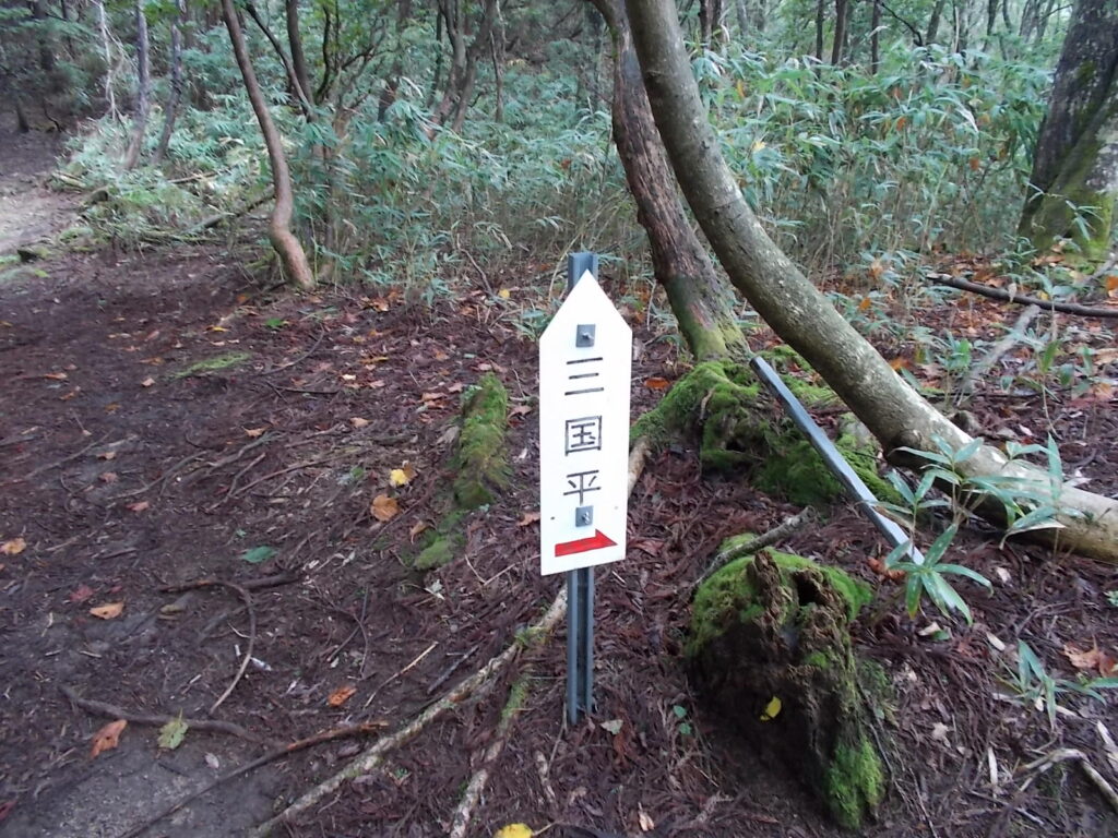 11：02三国平への案内板。