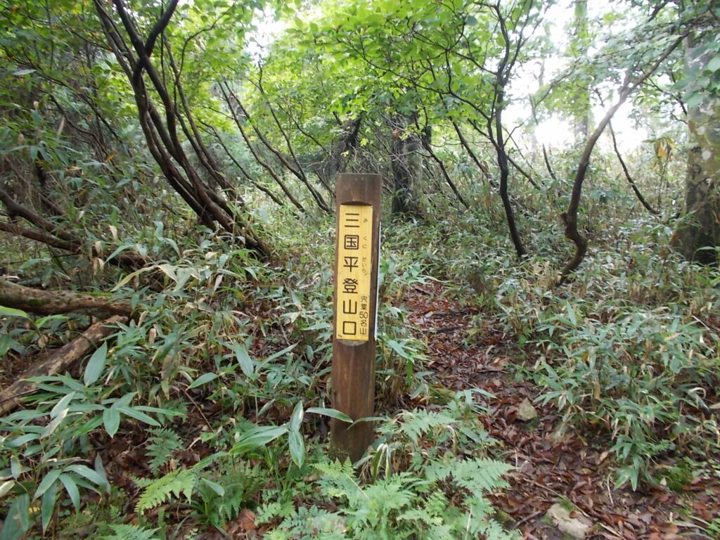 11：04　再び現れた登山口の標柱。なぜ？