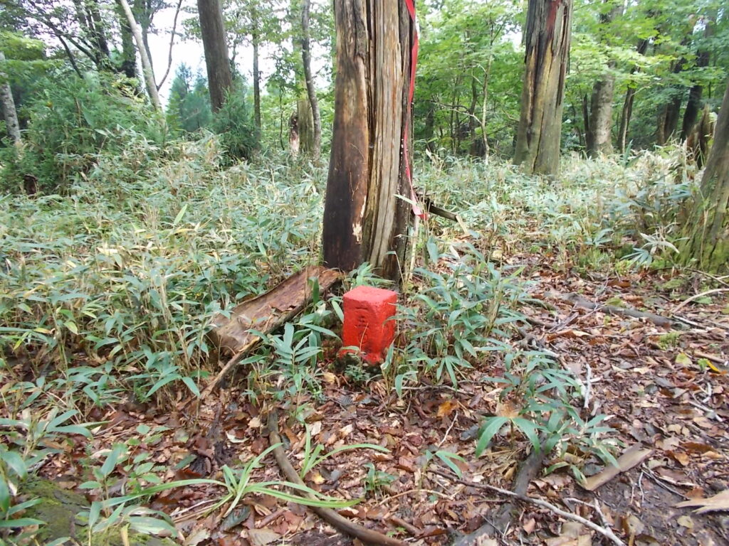 11：08　標柱の後ろの方にあるこれが三角点かしら。それとも県境のマーク？