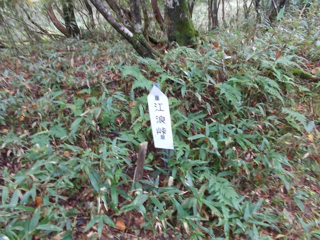 11：11　江浪峠