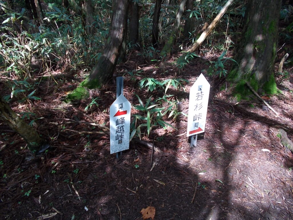 11：13　峠分岐。若杉峠へ