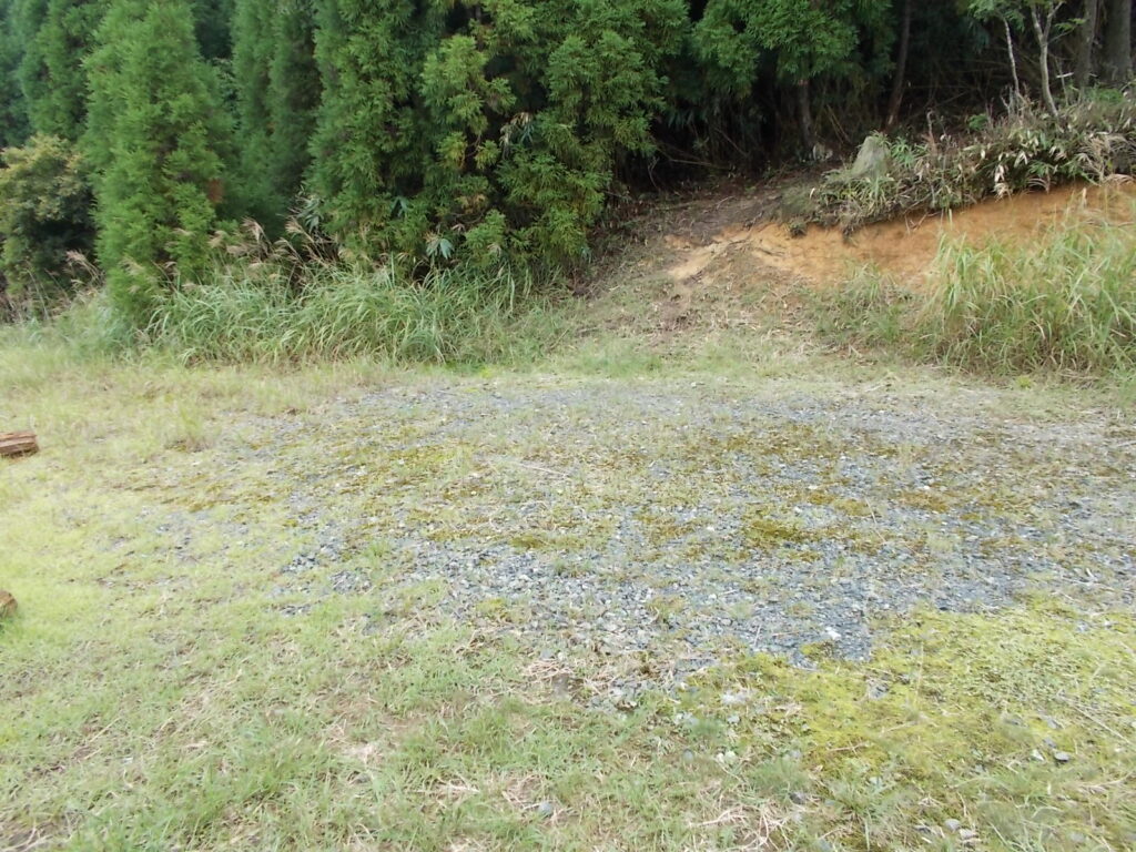 11：22　途中の林道を渡ります。