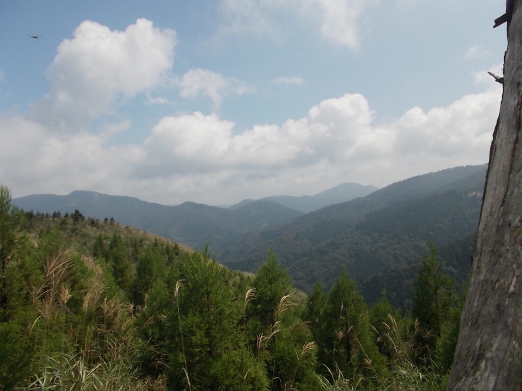 11：41　途中のピークから見えた景色