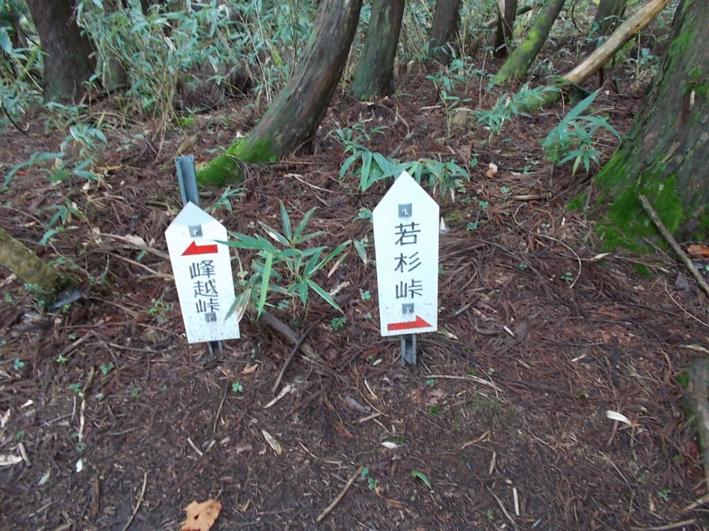 11：58　峠の分岐に戻りました。ここから峰越峠へ
