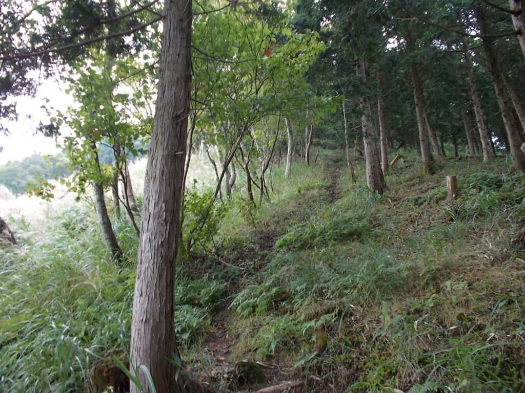 12：37　急な斜面を登ります。