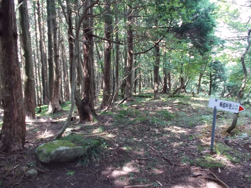 12：41　県道登山口への分岐