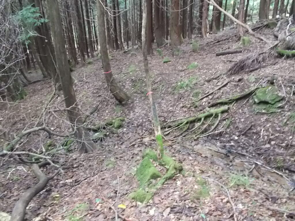 12：48またまた急斜面の上り。長義山周辺はなかなか大変です。