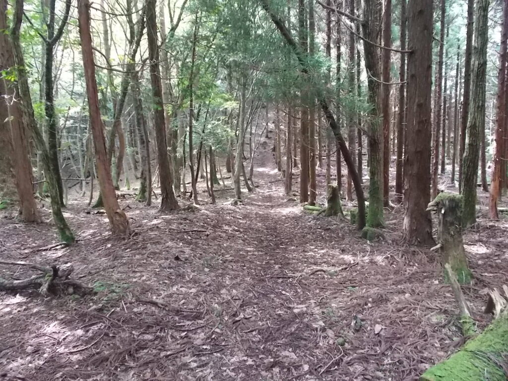 12：50　登り切ると楽なハイキングコースになります。