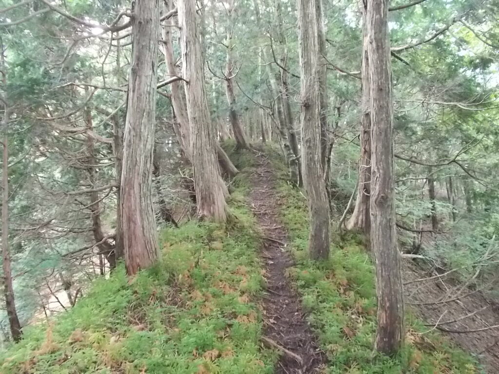 13：06　一番狭い尾根。両方ともけっこうきびしいのでご注意を。