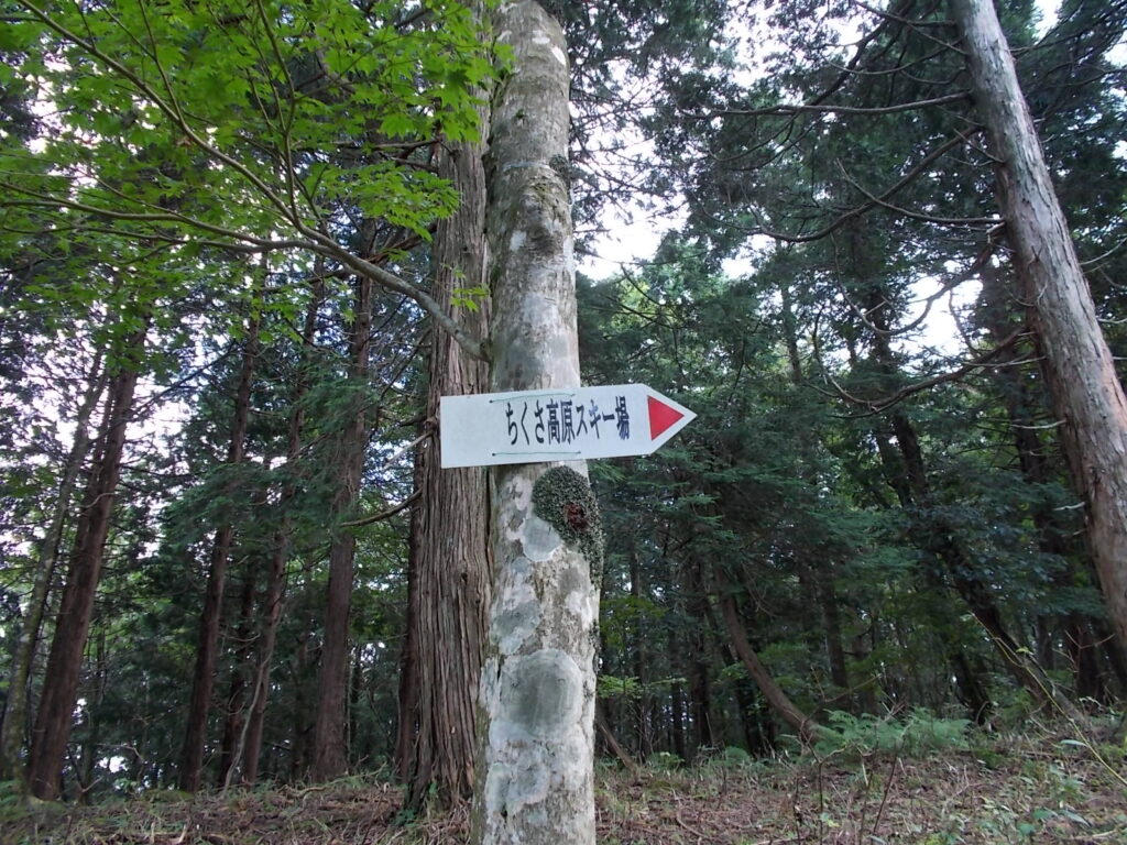 13：13　スキー場への案内板。