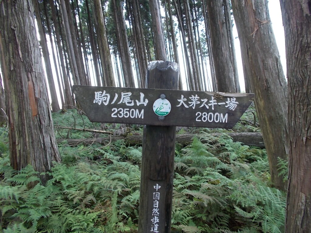 13：31　またまた案内が。50m毎にあるようです。