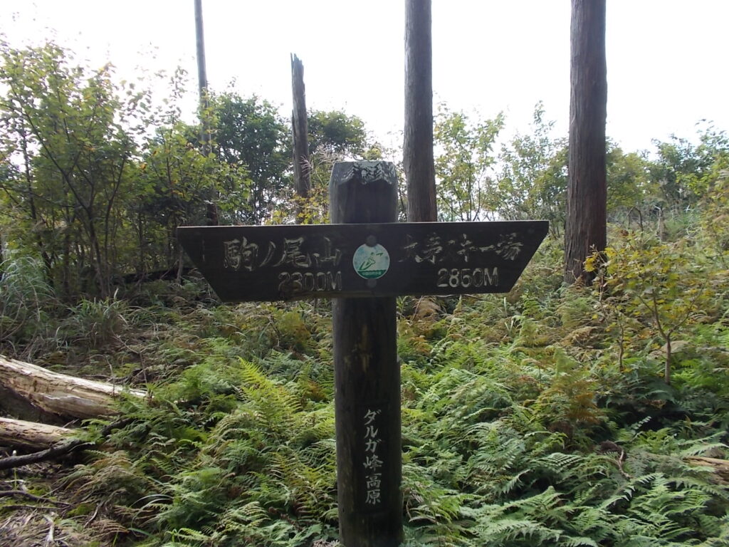 13：32　案内板。