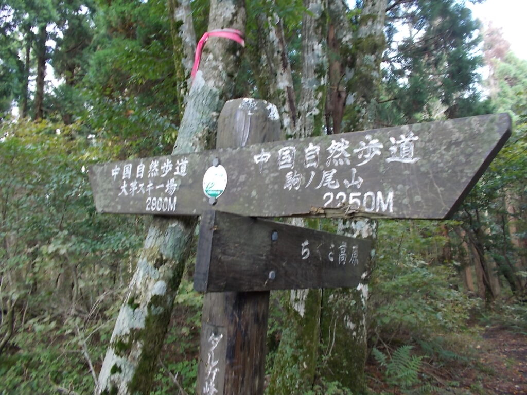 13：33　千種高原分岐。もう少し駒ノ尾山へ。