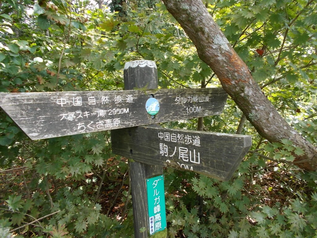 13：34　すぐに山頂への分岐