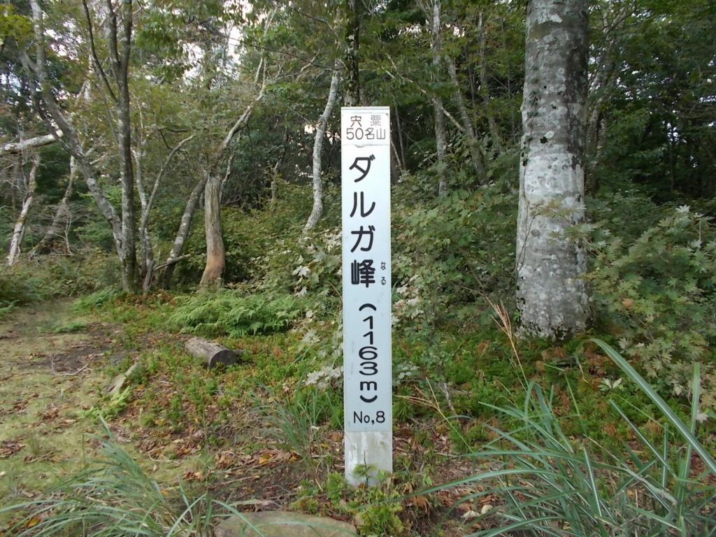 13：36　ダルガ峰山頂の標柱。この周りもさっぱりなので、すぐにスキー場へ。