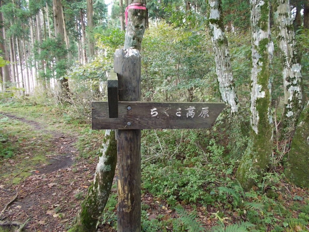 13：39　ちくさ高原への分岐に戻りました。