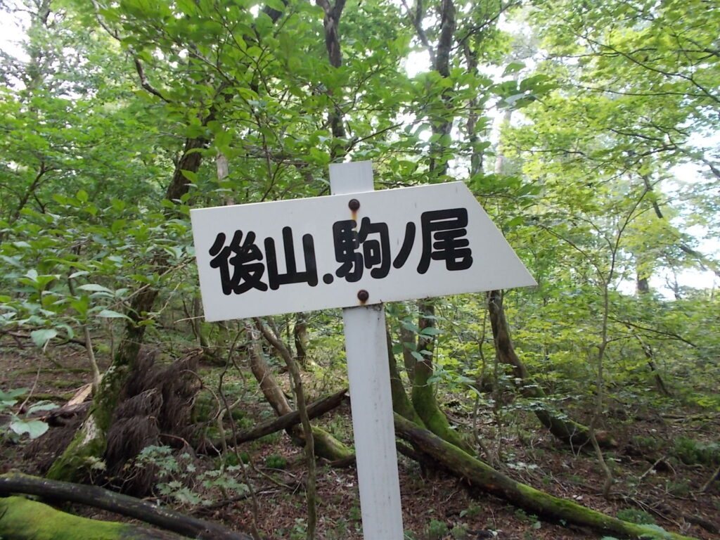 13：39　後山、駒の尾山の案内板。反対方向へ。
