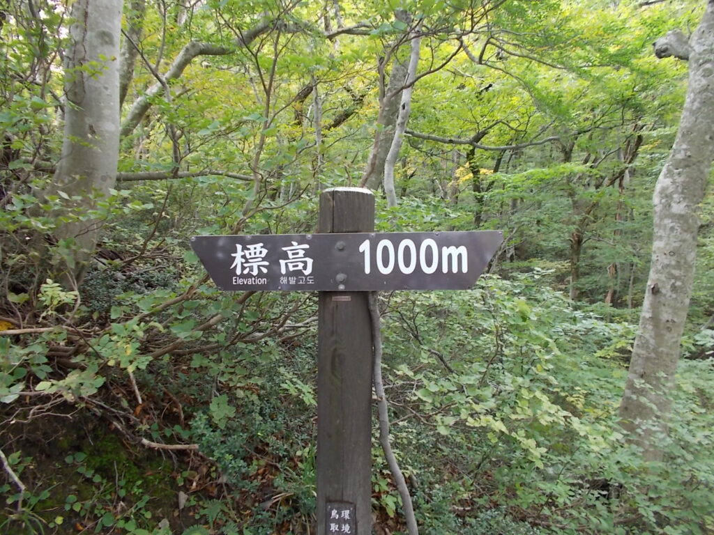 9:38 標高1,000m