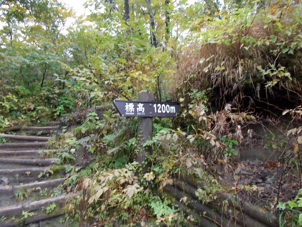 9:57 標高1,200m