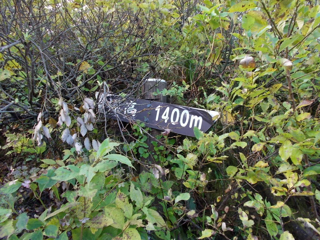 10:23 標高1,400m