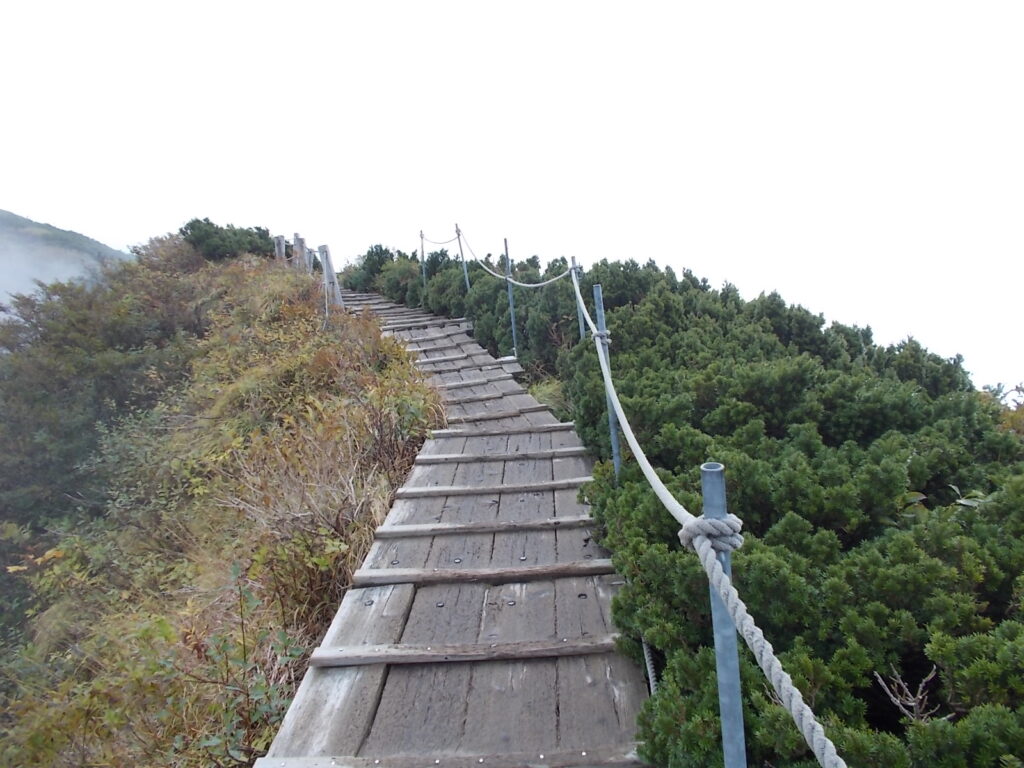 10:51 木道と大山キャラボク