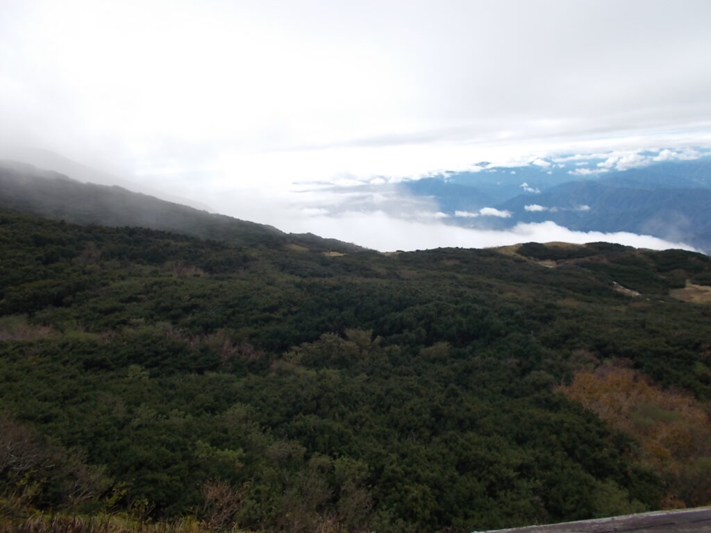 10:53 雲がわき上がってきました。