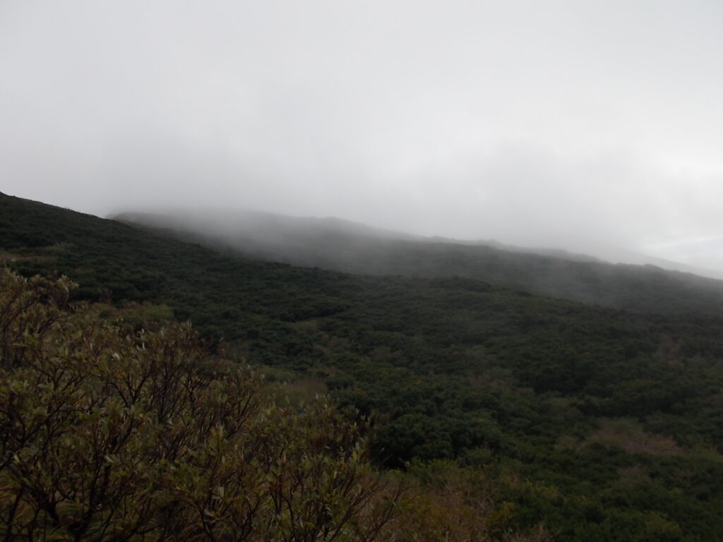 10:53 あっという間に白い世界に。