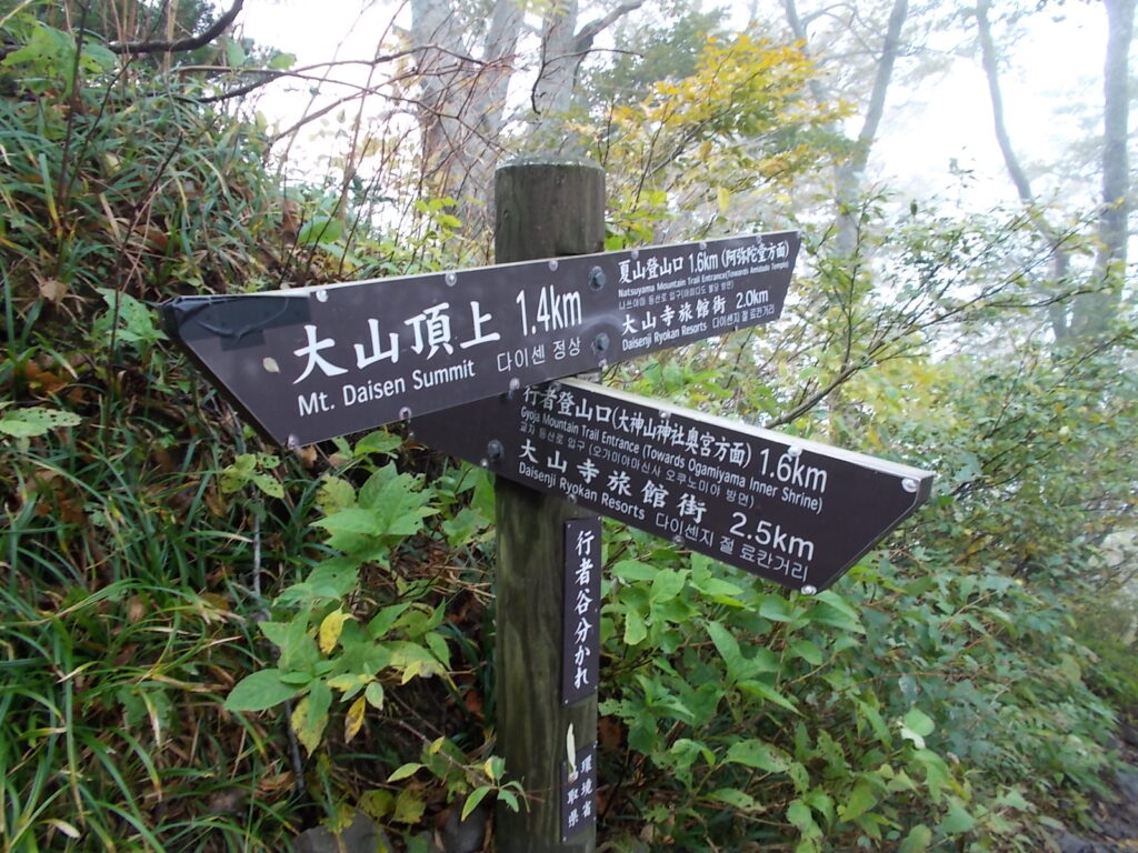 12:20 行者コース分岐