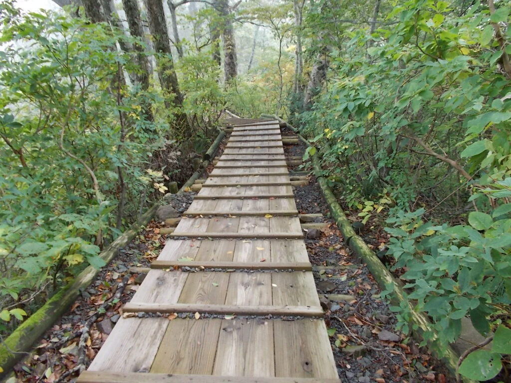 12:28 木道。新しいので安心ですが、油断すると滑ります。