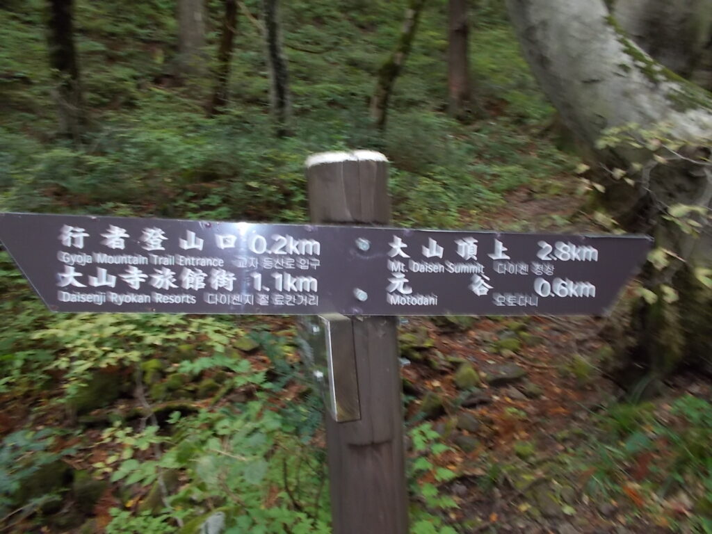 13:01 行者登山口まであと200m