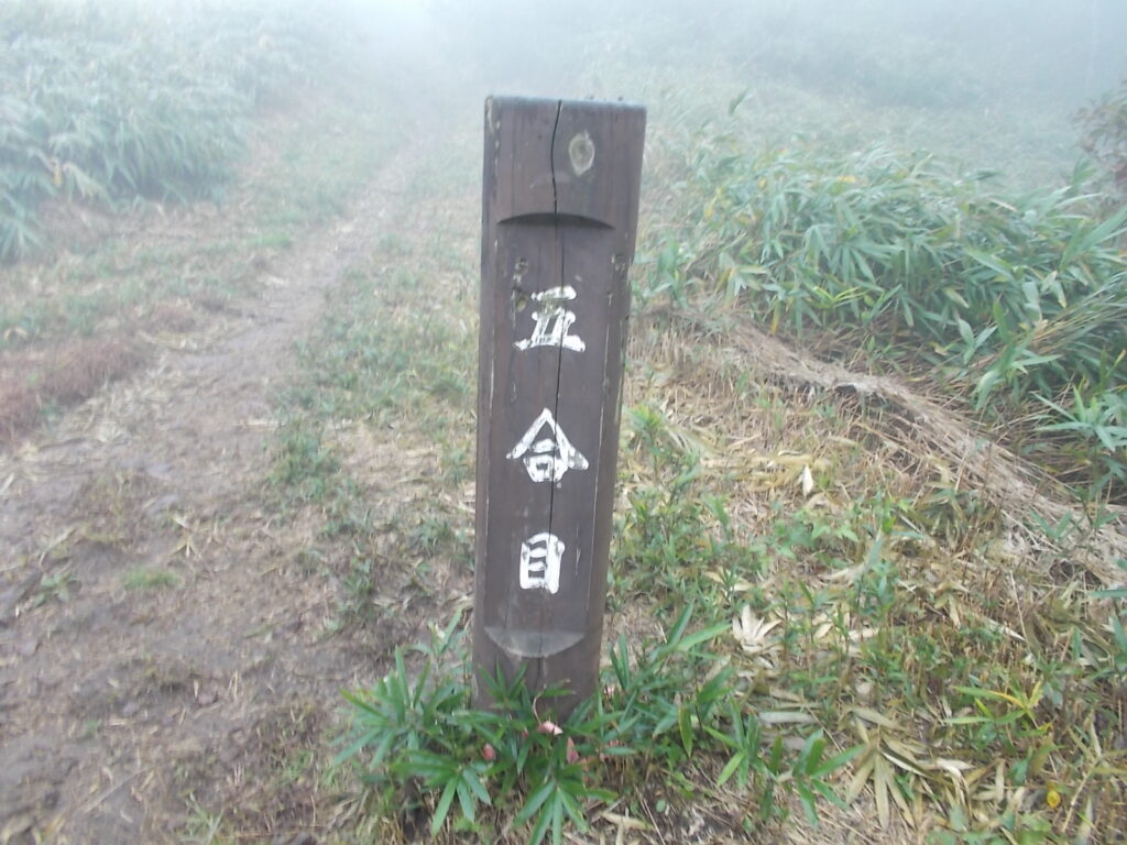 10：05　すぐに五合目。この辺りからチシマザサに変わります。見晴らしはいいはずなんですが。