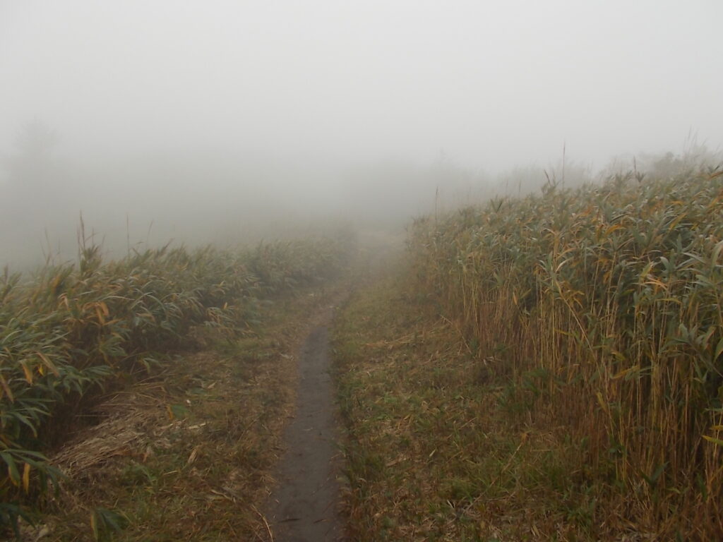 10：07　緩やかな上りです。