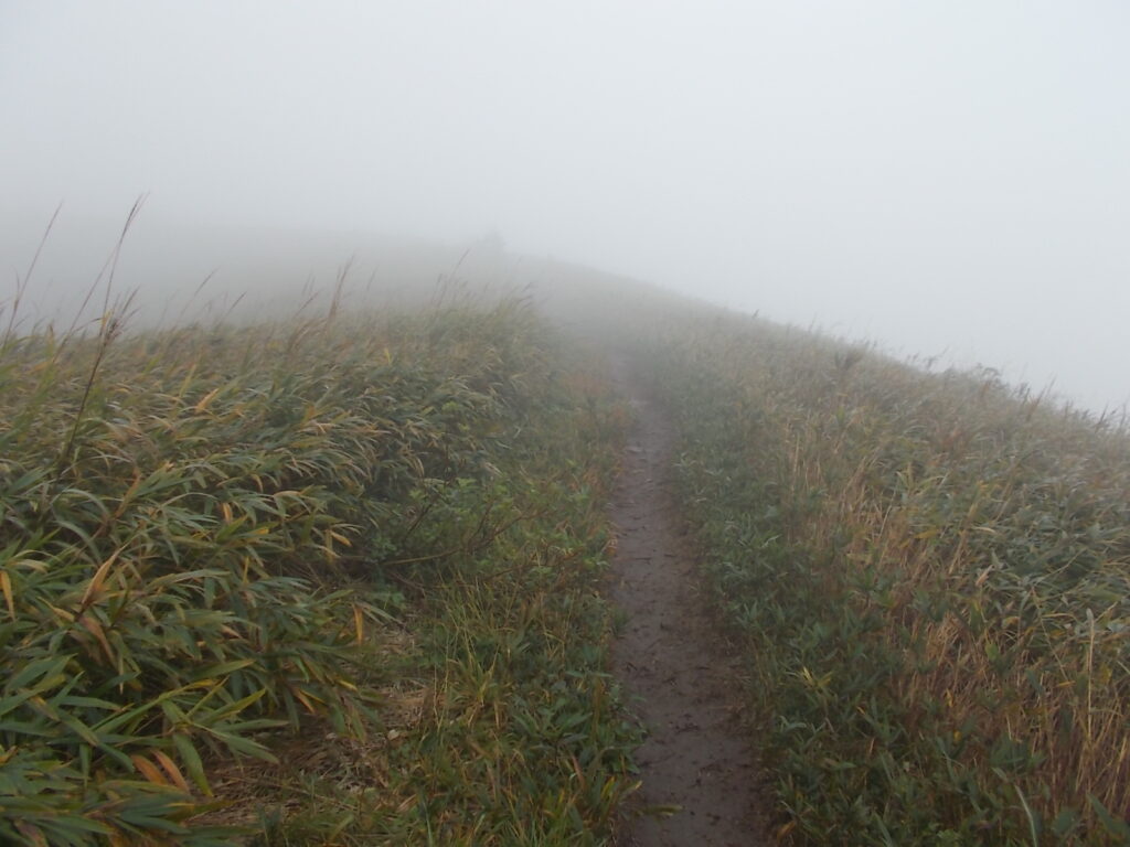 10：10　すぐに急な上りに。周りは笹だらけ。
