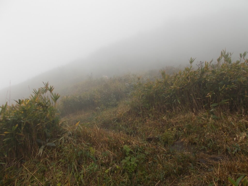 10：24　さらに上ります。