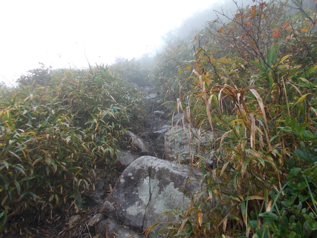 10：25　鎖のある岩場の急登。あと少しと思うがなかなかつかない。