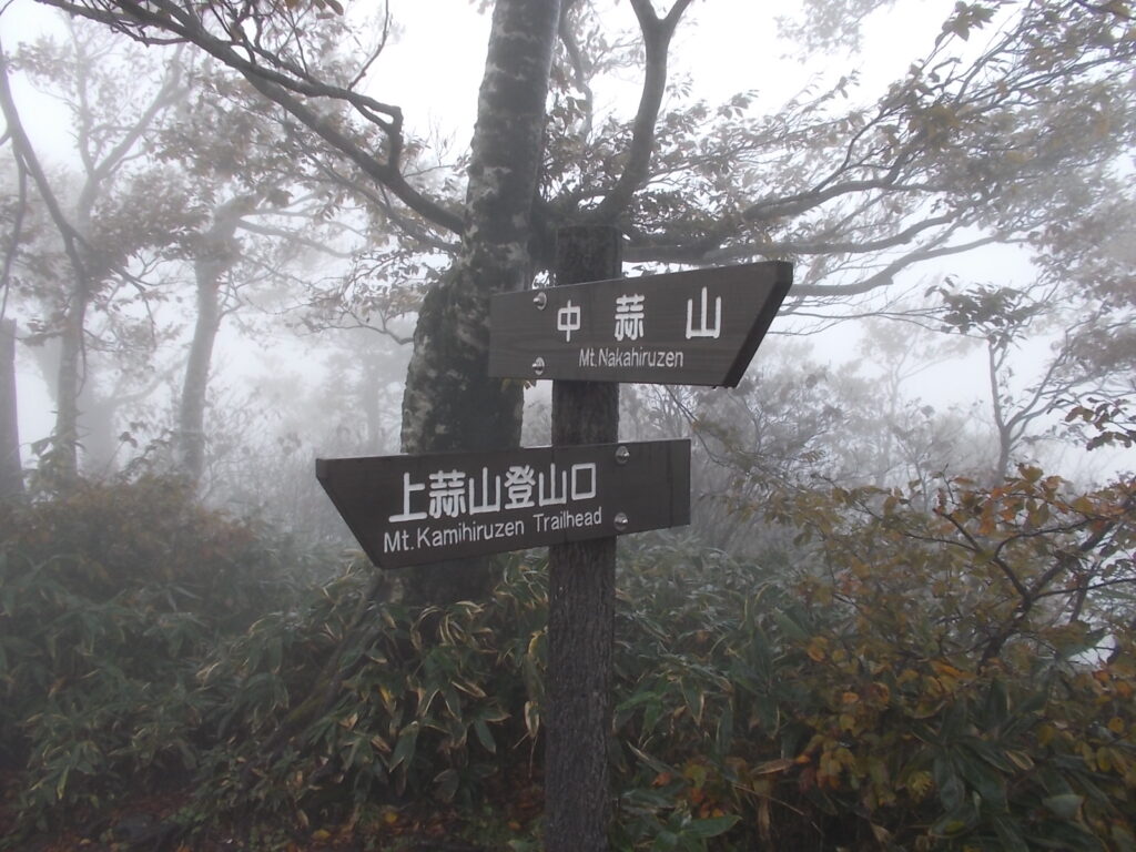 12：39　分岐の案内板。実質の上蒜山山頂です。本来の山頂はここから左奥へ行ったところにあるんですが、ここよりも約２ｍ低く、見晴らしも悪いので行く必要は無いようです。