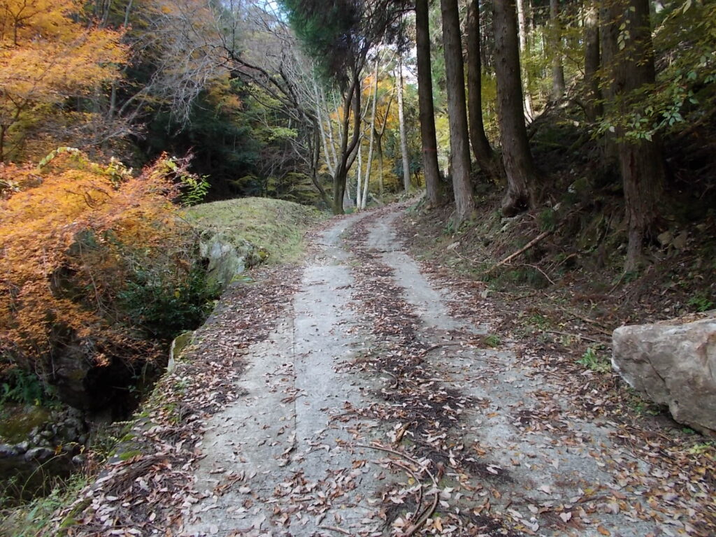 11：17　林道の様子。ここを車で上ると後山の登山口に着きます。