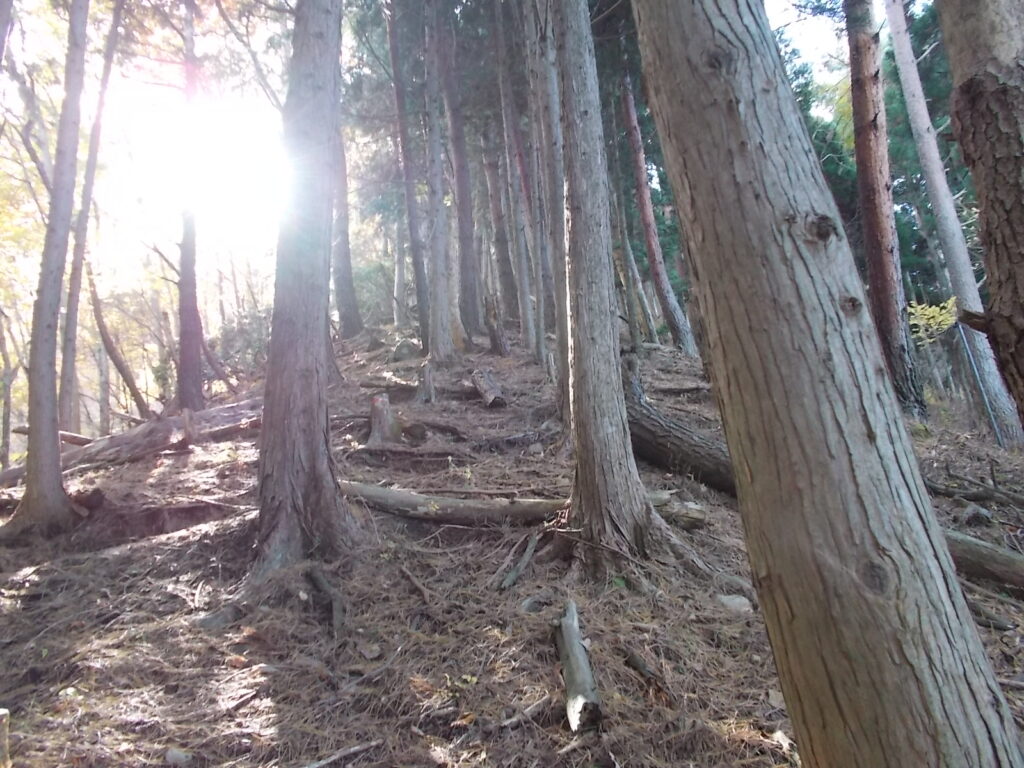 11：39　またまた厳しい上りです。