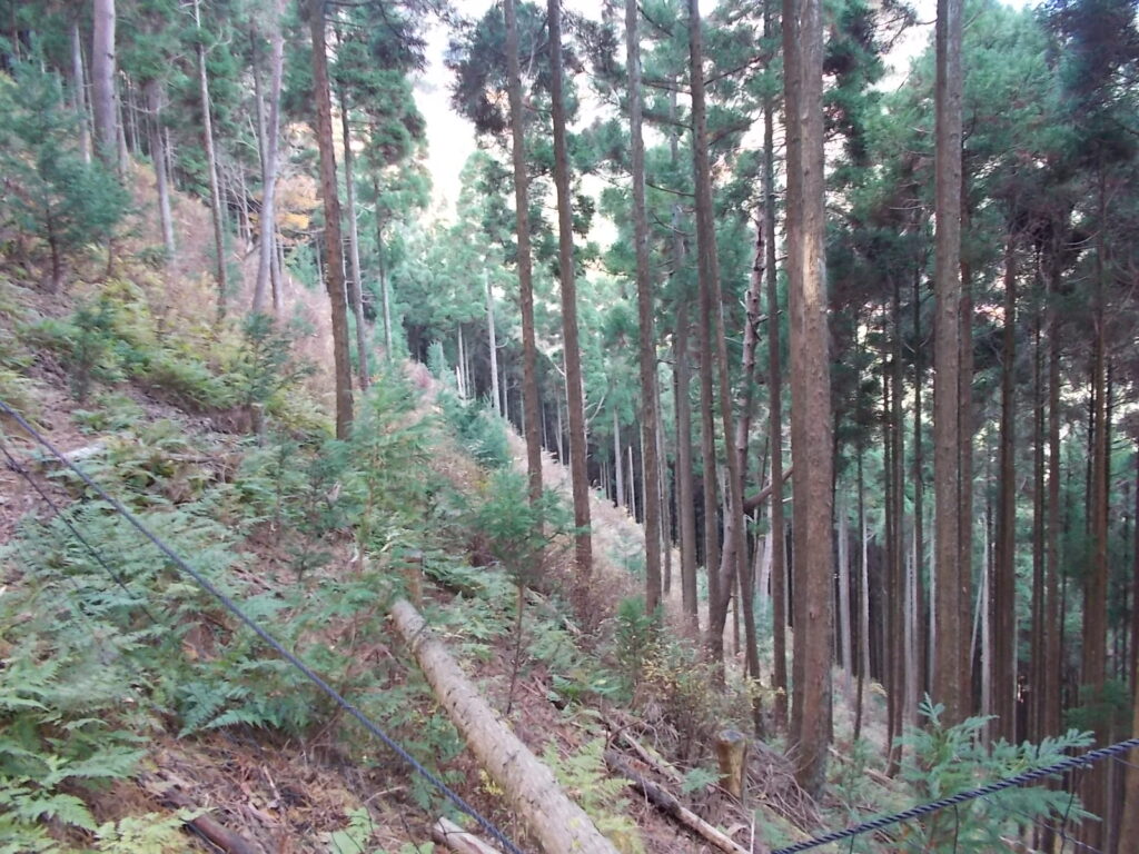 11：40　この辺りの傾斜です。