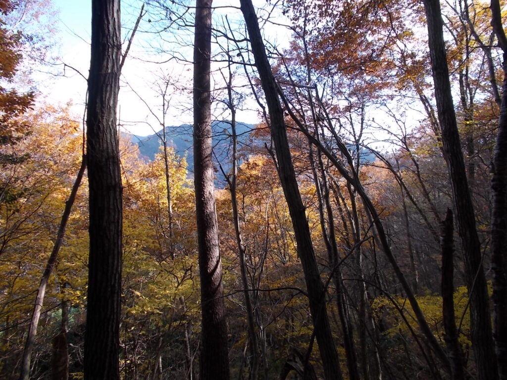 11：41　おごしき山らしい