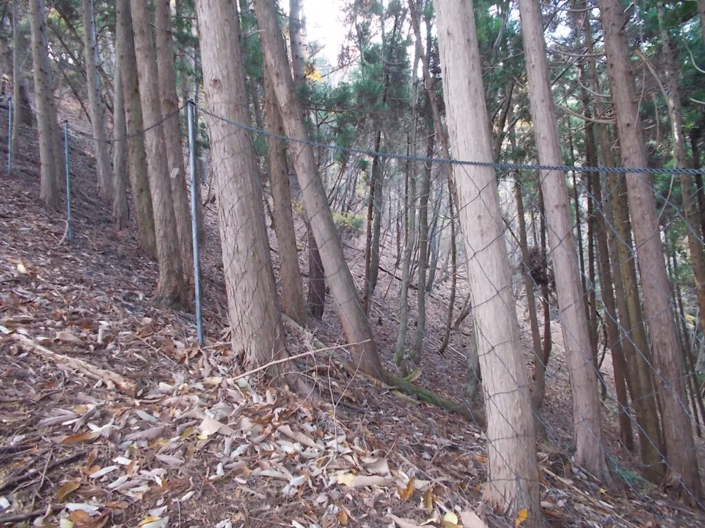 11：43　ネット沿いを歩きます。