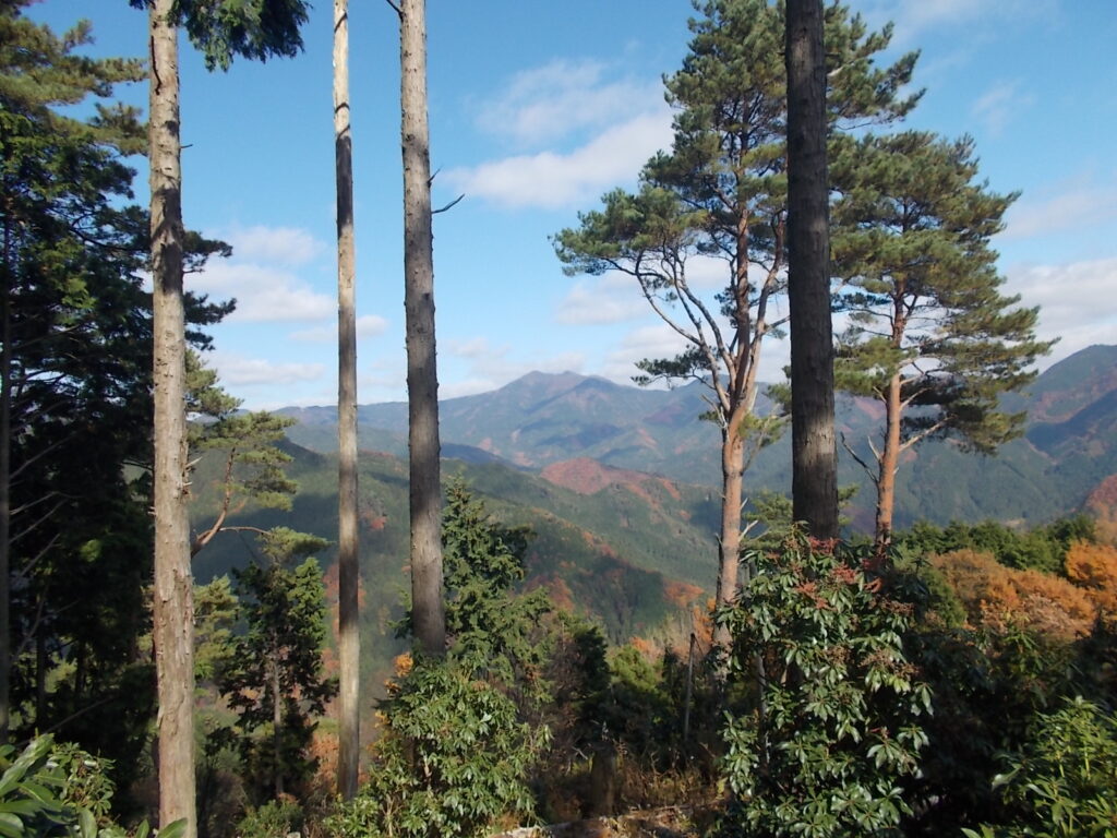 11：49　三室山方面が見えます。