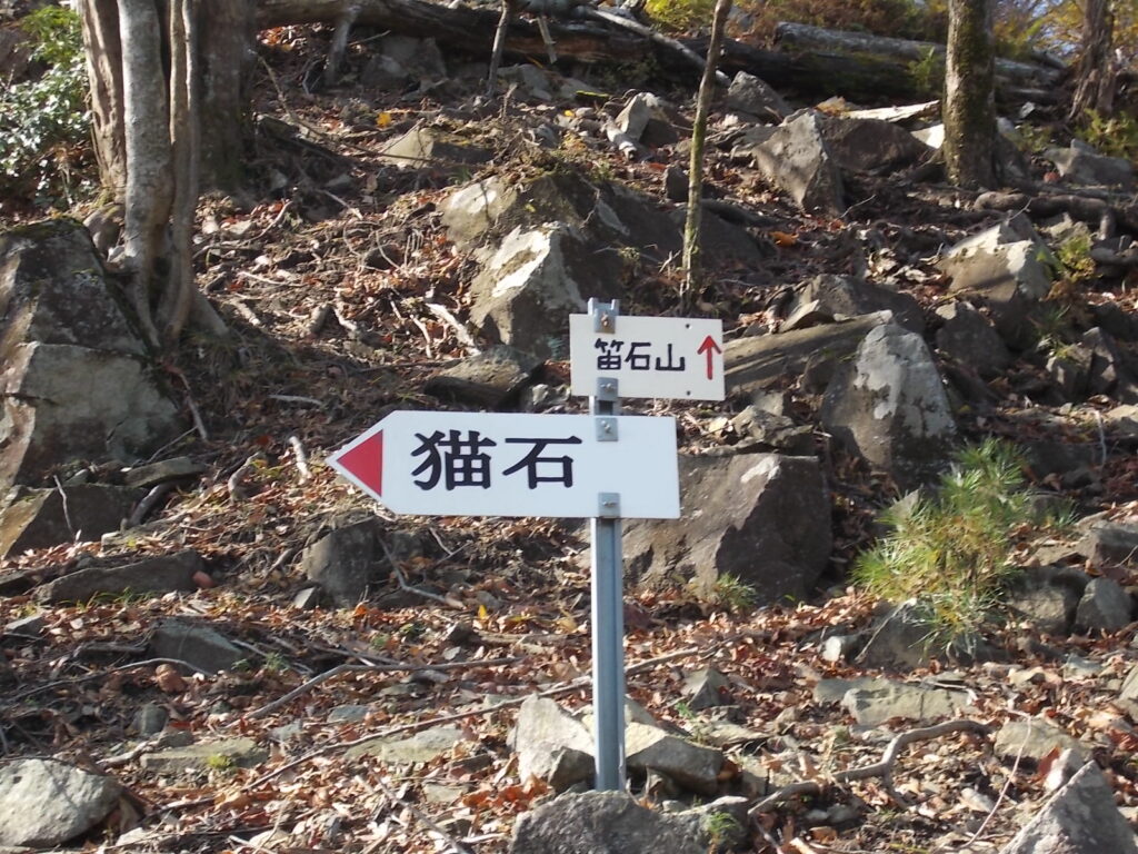 11：55　すぐに猫石への分岐に着きました。