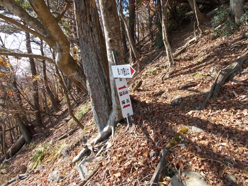 12：06　山頂への案内板。