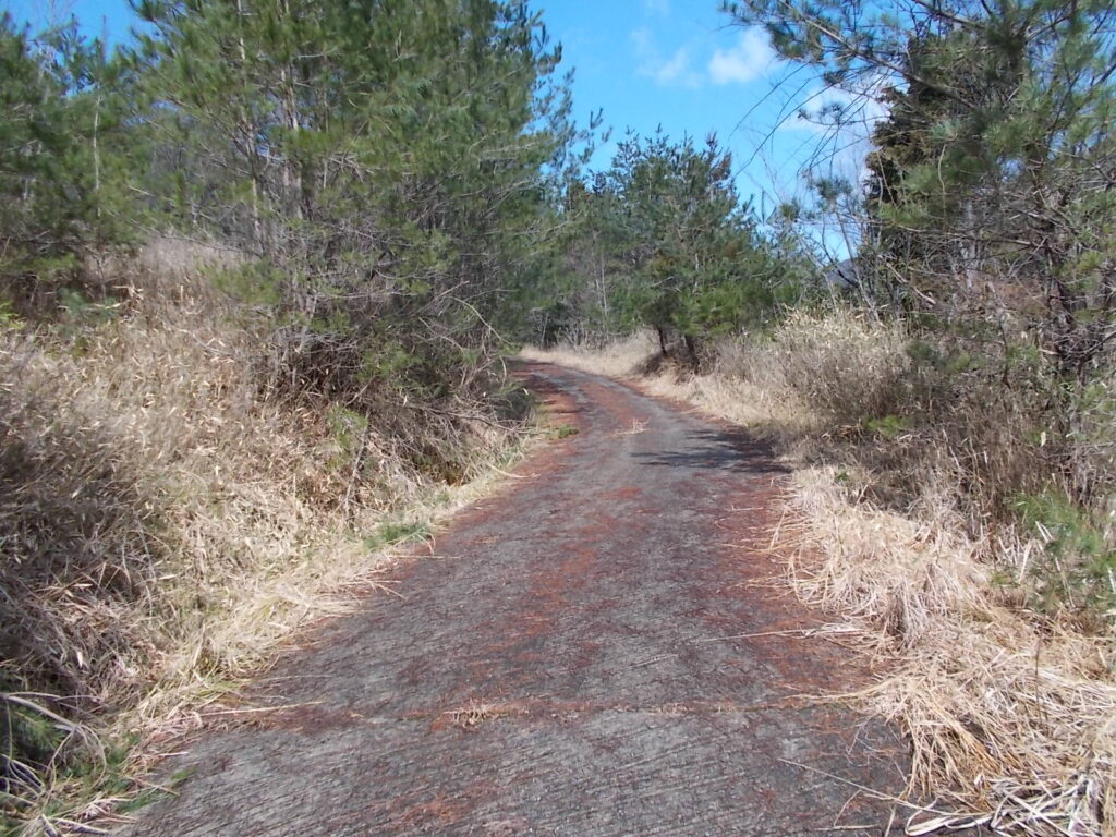 10:36 舗装された林道を行きます。
