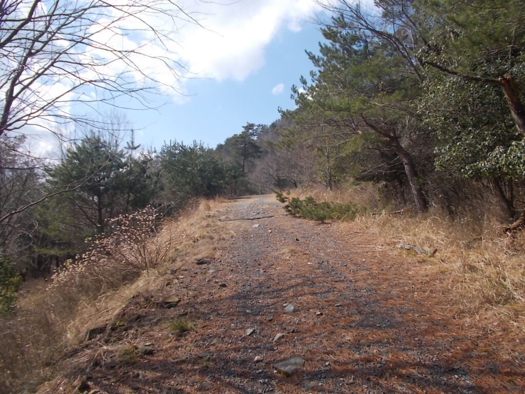 10:38 日当たり良好の林道